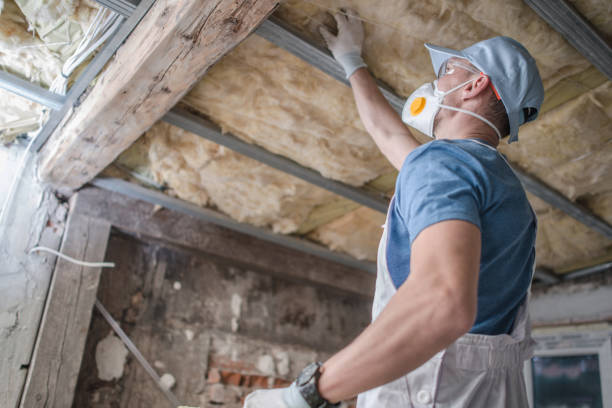 Best Specialized Insulation Services in Bainbridge, PA